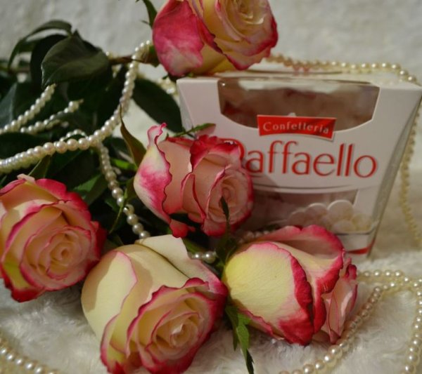 Рафаэлки с розой