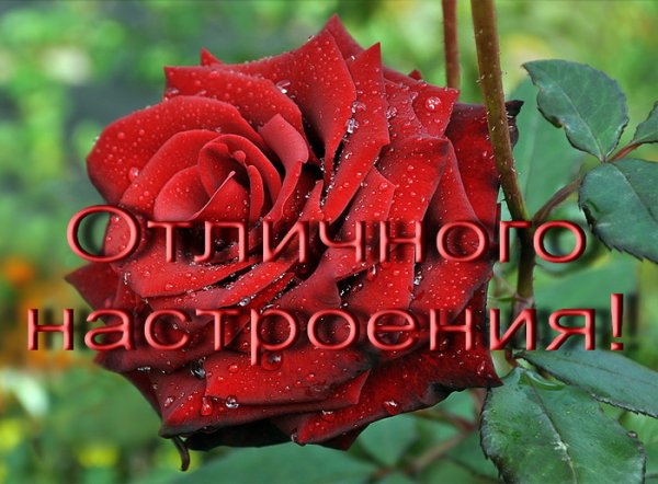 Привет Аллочка