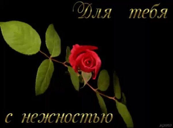 Гифки цветы для Аллочки