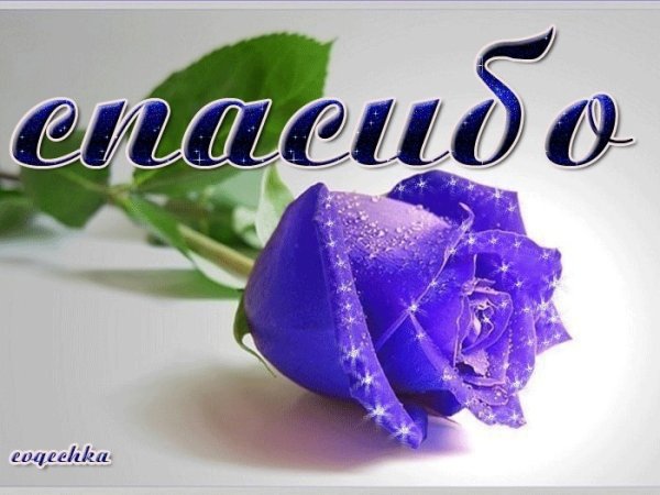 Супер красиво открытки