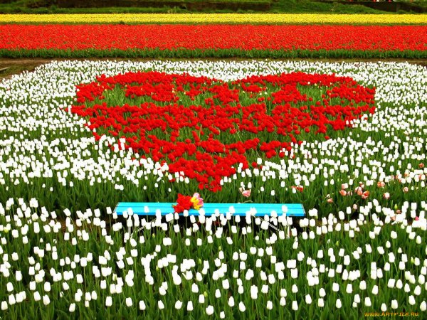 Асфоделевые Луга