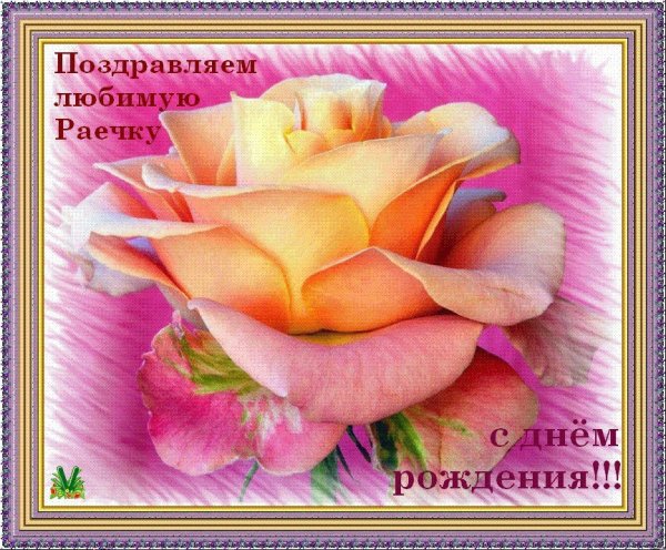 С днём рождения рая