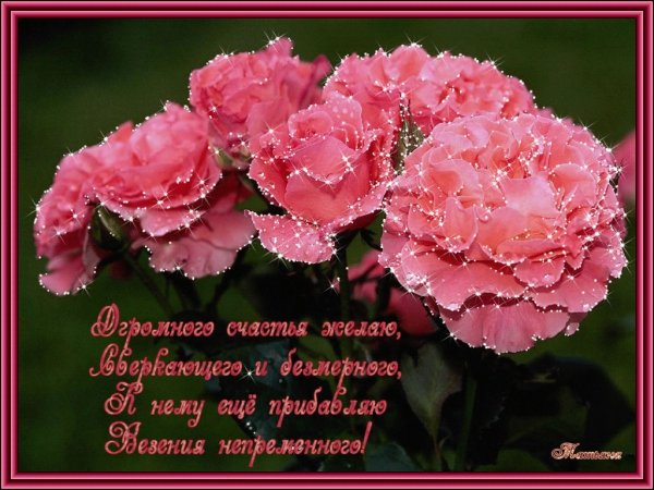 Красивой женщине красивые цветы стихи