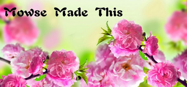 С днём рождения Римма