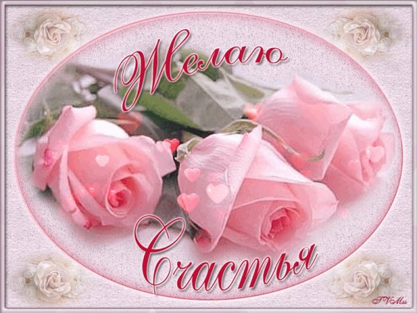 Красивый букет роз