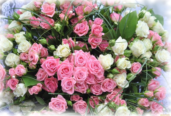 Открытки с цветами красивые