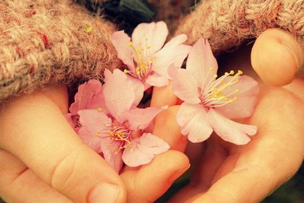 Цветы в ладонях