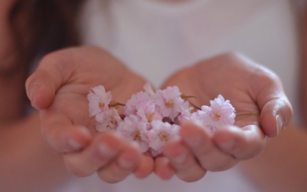 Нежные цветы в ладонях