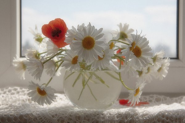 Любовь к природе