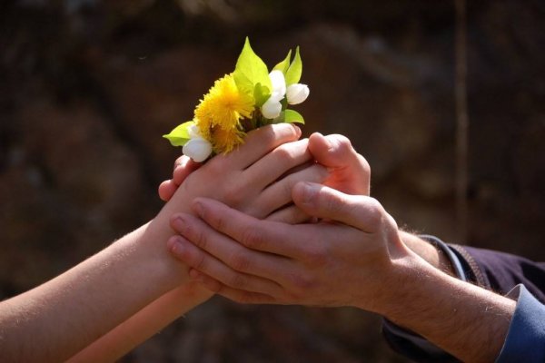 Нежные цветы для женщины