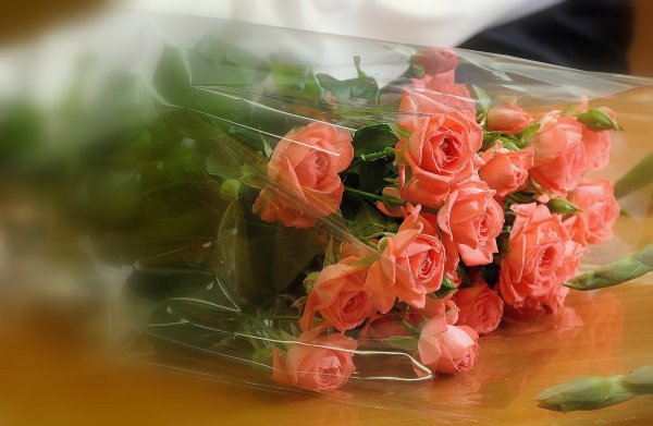 Девушка с букетом ромашек