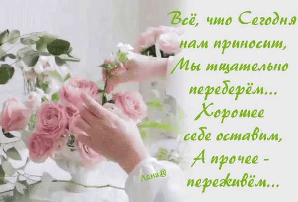 Любовь и белые розы