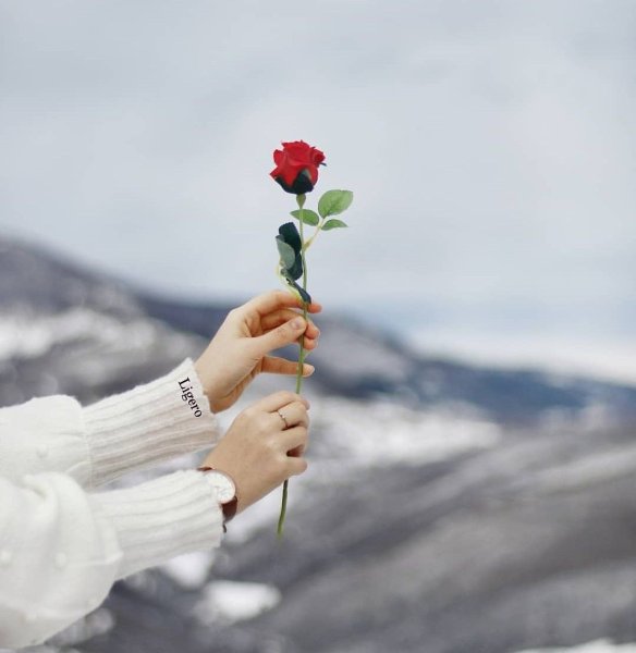 Девушка с ромашками