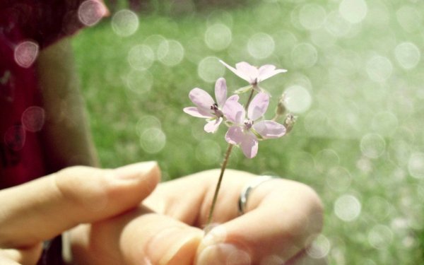 Любовь и нежность