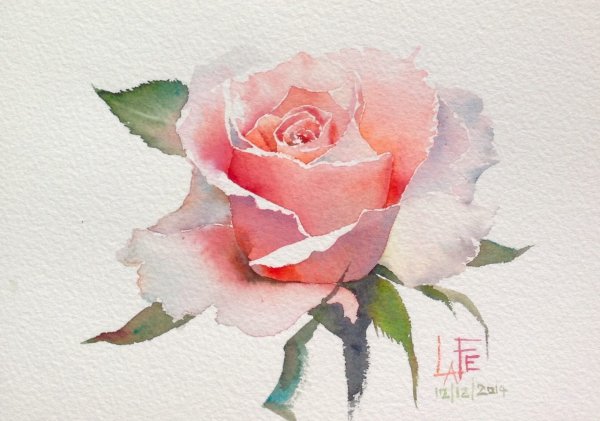 Акварельные розы тайского художника лафе