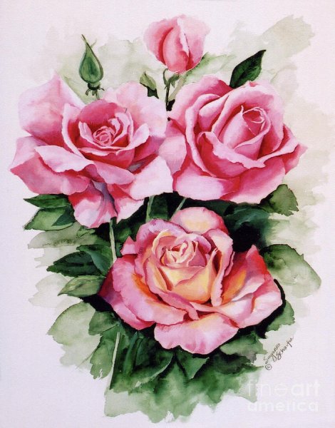 Букет роз акварелью