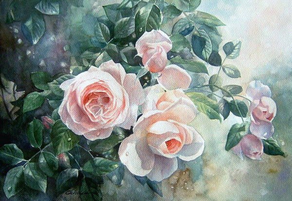 Художник Chihiro Yabe. Акварельные розы.