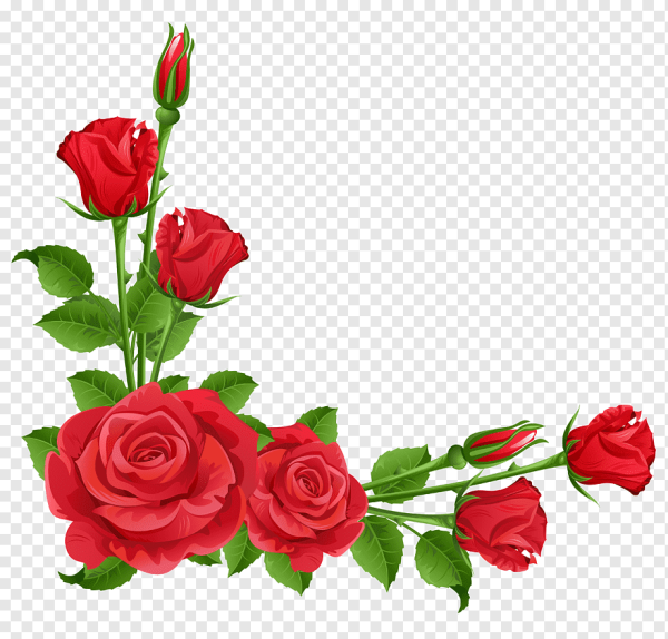 Цветочные уголки розы