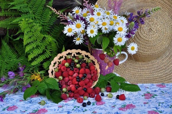 Летние цветы и ягоды
