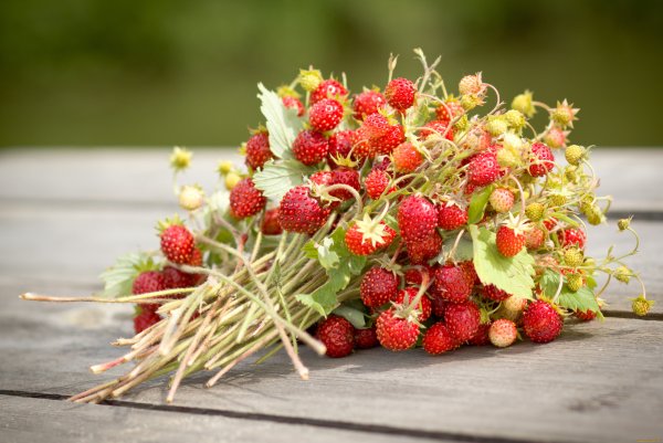 Лето фрукты ягоды дача