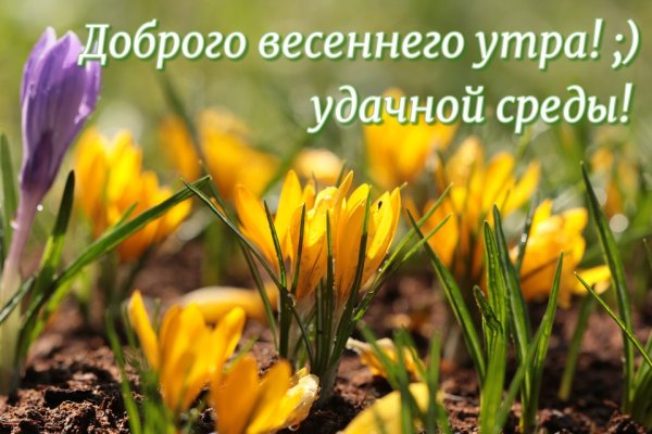 Доброе Весеннее утро