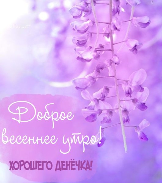 Доброе утро Весна