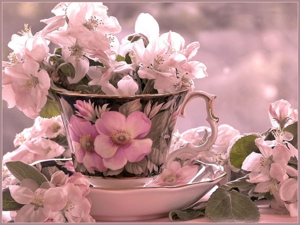 Открытки с добрым утром весенние