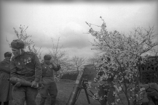 Весна Победы