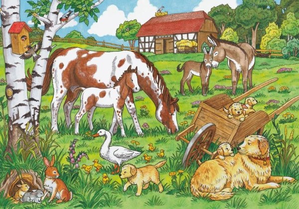 Домашние животные и их Детеныши для дошкольников