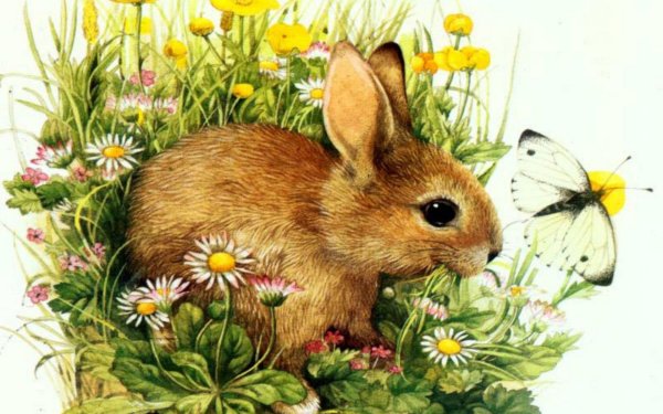 Животные ранней весной