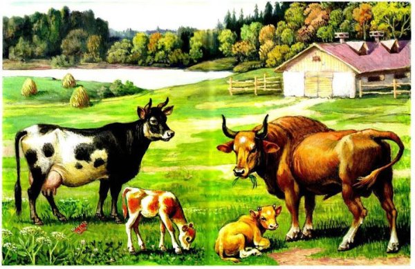 Домашние животные на ферме