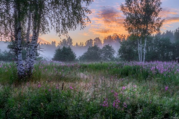 Ранняя Весна вечер
