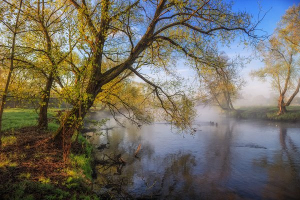 Весенние пейзажи природы