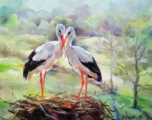 Семья аистов в гнезде