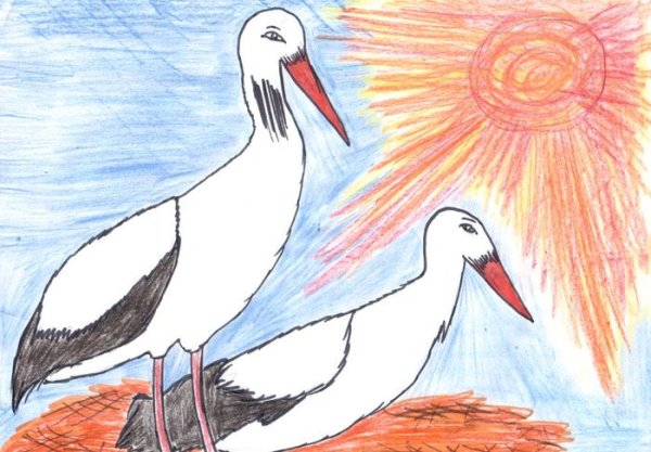 Даурский заповедник Журавли