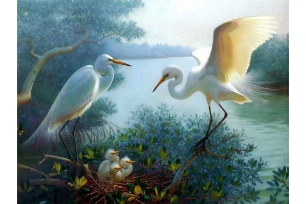 Аист улетает