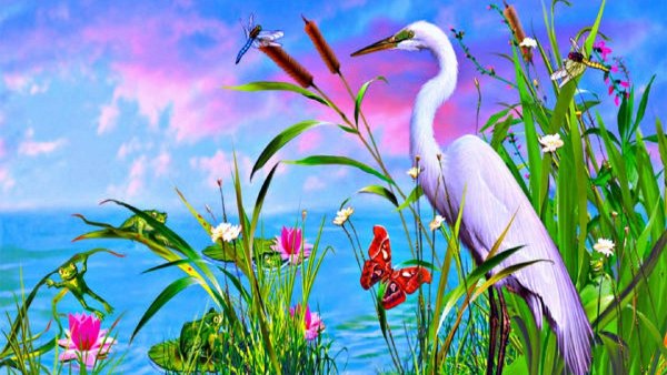 Стая аистов