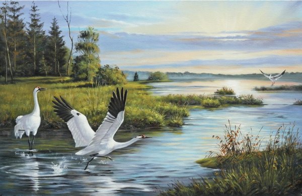 Аисты в гнезде живопись