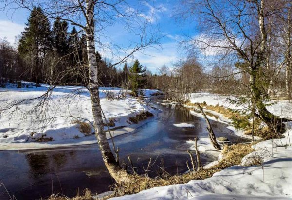 Весна деревня апрель проталины
