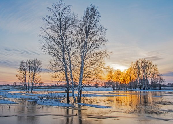 Наступила Весна