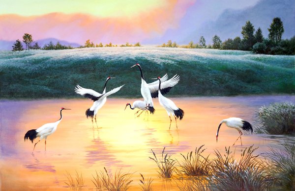 Белый Аист гнездо