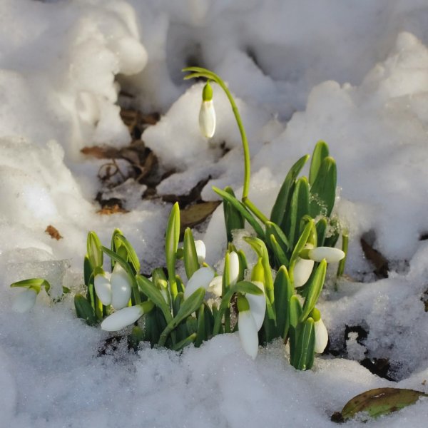Месяцы весны для дошкольников