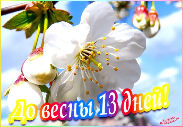До весны осталось
