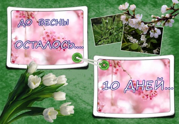 «Крокусы под снегом»