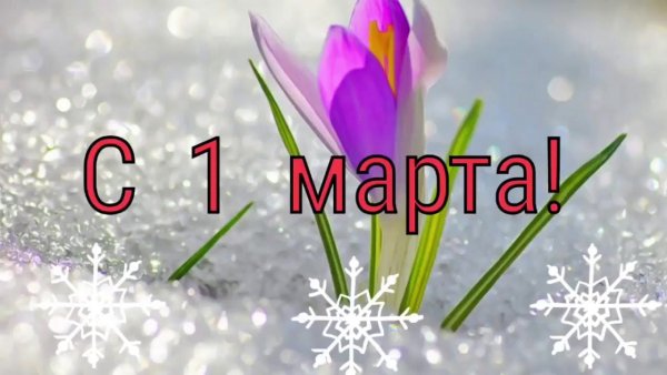 Стильные открытки с началом весны