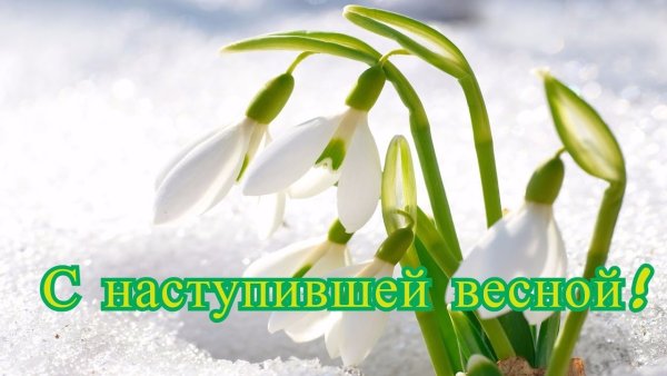 С первым днем весны