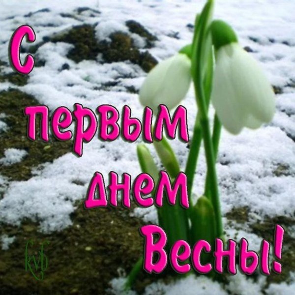 Доброе утро Весна почки