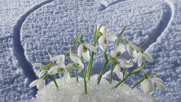 Весна уходит