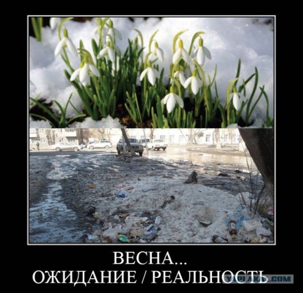 Режим ожидания весны