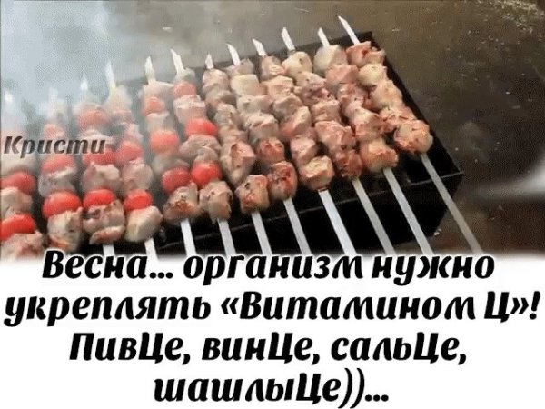 Шутки про шашлык